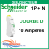 Disjoncteur Schneider Electric - COURBE D - XP 1P + N - 10 Ampères