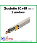 Goulotte - 60x45 mm - Ivoire - 2 mètres