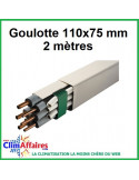 Goulotte - 110x75 mm - Ivoire - 2 mètres