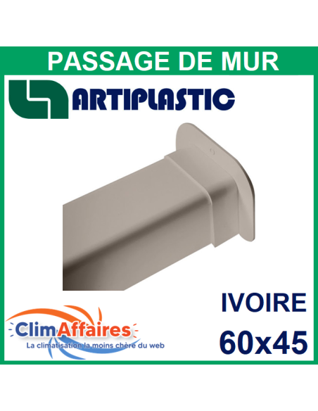 Passage de mur pour raccords goulottes 60x45 mm - Ivoire (0610PM)