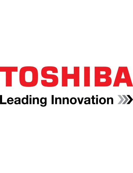 Climatiseur Tri Split Toshiba