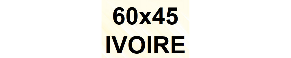 Goulotte et Raccords 60 x 45 - Ivoire (1 réseau)