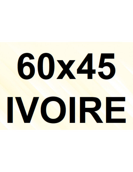 Goulotte et Raccords 60 x 45 - Ivoire (1 réseau)