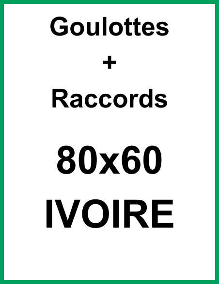 Goulotte et Raccords 80 x 60 - Ivoire (2 réseaux)