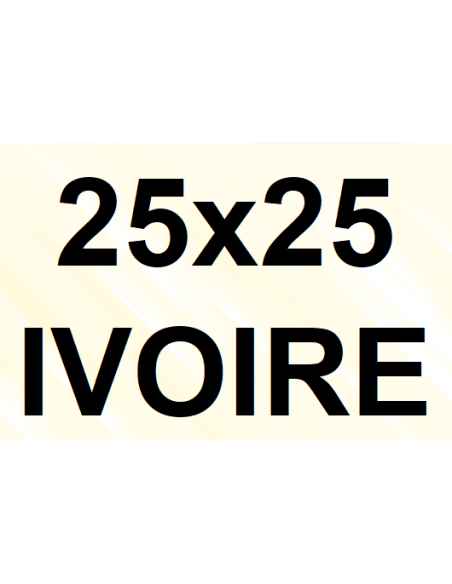 Goulotte et Raccords 25 x 25 - Ivoire (condensats)
